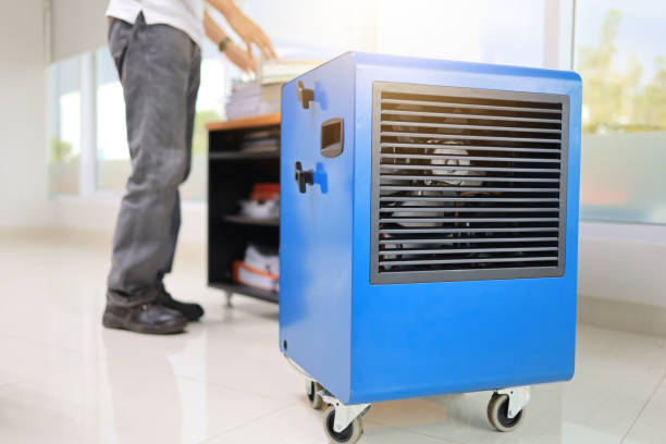 Best Mold-Related Health Consultation  in Florence Graham, CA