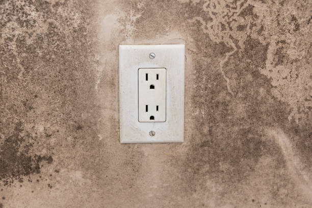 Best Residential Mold Inspection & Testing  in Florence Graham, CA